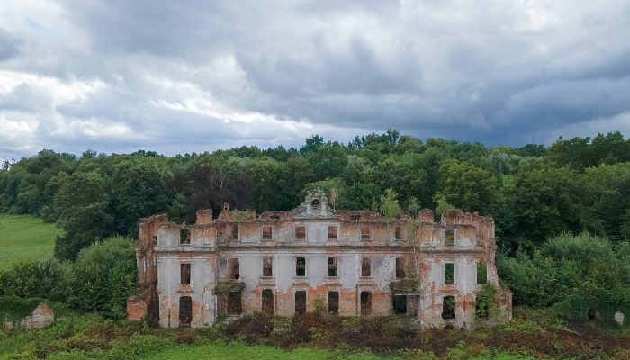 Palacio Słobity 3