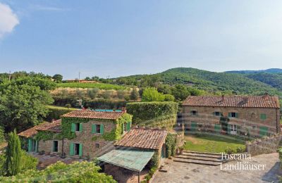 Finca en venta Arezzo, Toscana, RIF 2993 Blick auf Anwesen 