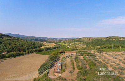 Finca en venta Arezzo, Toscana, RIF 2993 Panoramalage