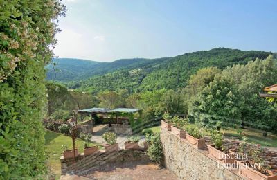 Finca en venta Arezzo, Toscana, RIF 2993 Panoramablick