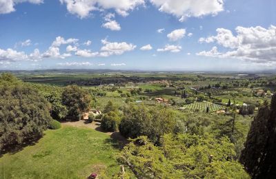 Villa histórica en venta Campiglia Marittima, Toscana, Jardín