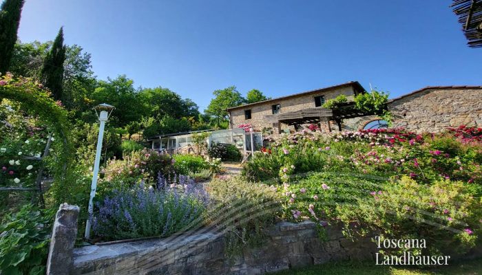 Finca Gaiole in Chianti 2