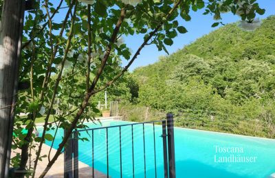 Finca en venta Gaiole in Chianti, Toscana, RIF 3003 Weg zum Pool