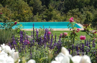 Finca en venta Gaiole in Chianti, Toscana, RIF 3003 Pool