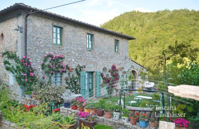 Finca en venta Gaiole in Chianti, Toscana, RIF 3003 Ansicht