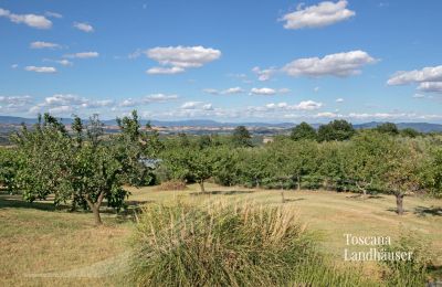 Casa rural en venta Sarteano, Toscana, RIF 3009 Panoramablick