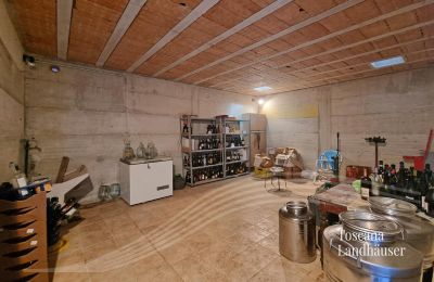 Casa rural en venta Sarteano, Toscana, RIF 3009 Cantina