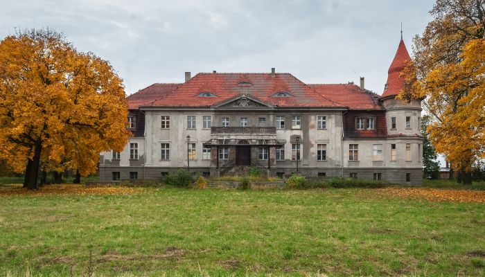 Palacio en venta Karczewo, województwo wielkopolskie,  Polonia