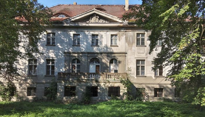 Palacio Karczewo 4
