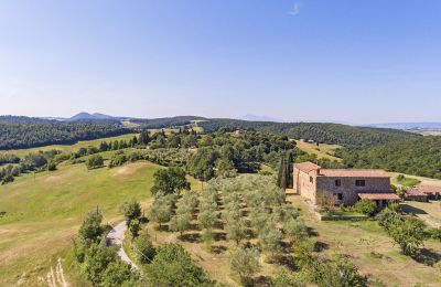 Casa de campo en venta Asciano, Toscana, RIF 2982 Rustico und Umgebung