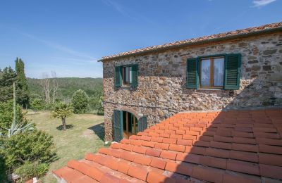 Casa de campo en venta Asciano, Toscana, RIF 2982 Rustico