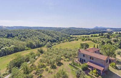 Casa de campo en venta Asciano, Toscana, RIF 2982 Vogelperspektive