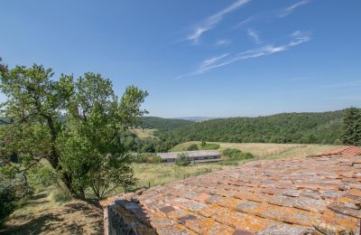 Casa de campo en venta Asciano, Toscana, RIF 2982 Blick auf Landschaft