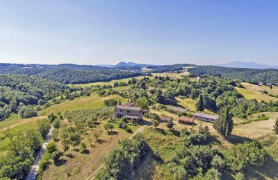 Casa de campo en venta Asciano, Toscana, RIF 2982 Vogelperspektive II