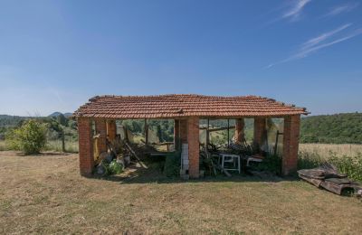 Casa de campo en venta Asciano, Toscana, RIF 2982 Unterstellmöglichkeit