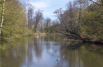 Parque histórico en venta Dębe Wielkie, Ruda, Voivodato de Mazovia, Imagen 14/24