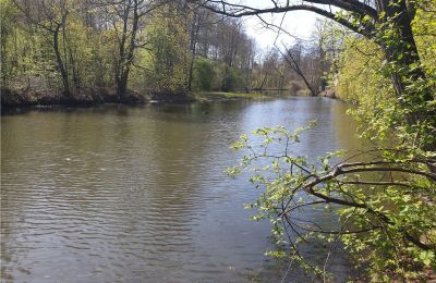 Parque histórico en venta Dębe Wielkie, Ruda, Voivodato de Mazovia, Imagen 15/24