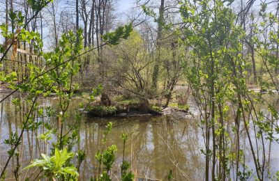 Parque histórico en venta Dębe Wielkie, Ruda, Voivodato de Mazovia, Imagen 17/24