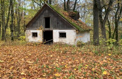 Casa señorial en venta Saulaine, Kaucmindes muiža, Semigalia, Dependencia