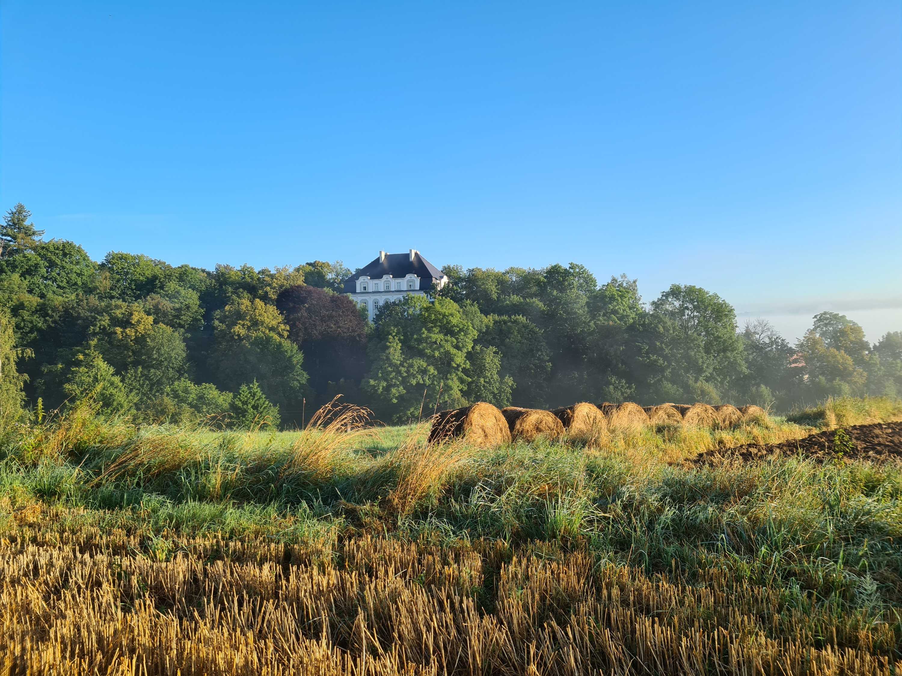 Fotos Castillo en Polonia - Perla barroca en Baja Silesia