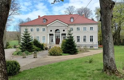 Palacio en venta Sławnikowice, Slawnikowice 99, Voivodato de Baja Silesia, Vista frontal