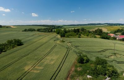 Villa histórica en venta Strzelin, Kazanów 21, Voivodato de Baja Silesia, Imagen 33/35