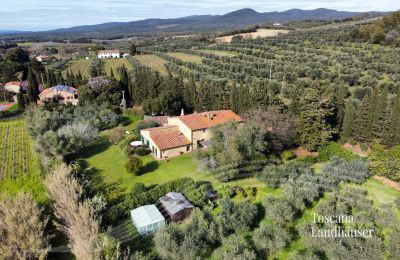 Finca en venta Castagneto Carducci, Toscana, RIF 3057 Blick auf Anwesen und Umgebung