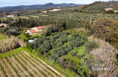 Finca en venta Castagneto Carducci, Toscana, RIf 3057 Anwesen und Olivenbäume