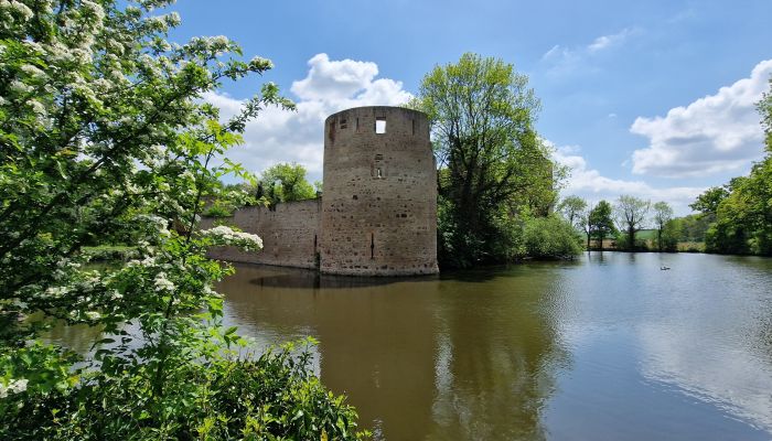 Castillo Wißkirchen 4