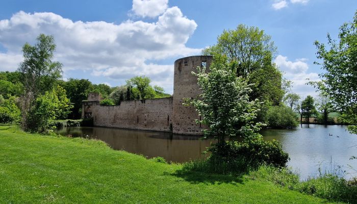 Castillo Wißkirchen 5