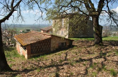 Casa de campo en venta Siena, Toscana, RIF 3071 Blick auf Rustico