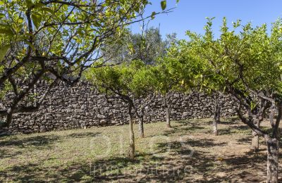 Villa histórica en venta Oria, Apulia, Imagen 16/34