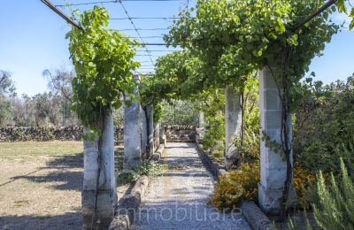 Villa histórica en venta Oria, Apulia, Imagen 29/34