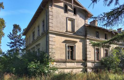 Palacio en venta Stradzewo, Pałac w Stradzewie, Voivodato de Pomerania Occidental, Vista lateral