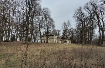 Palacio en venta Stradzewo, Pałac w Stradzewie, Voivodato de Pomerania Occidental, Jardín del Palacio