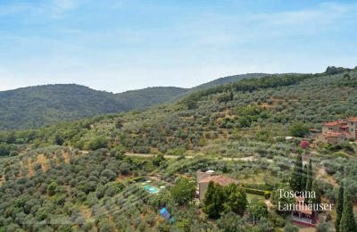 Finca en venta Loro Ciuffenna, Toscana, RIF 3098 Anwesen und Umgebung