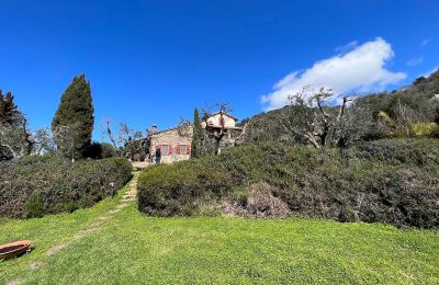 Casa de campo en venta Campagnatico, Toscana,, Vista exterior