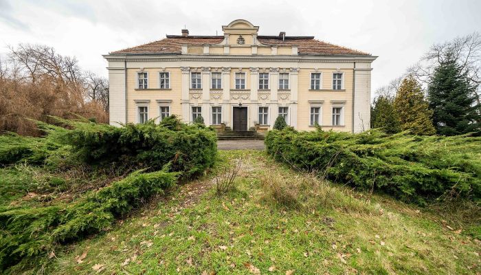 Palacio en venta Gola, województwo wielkopolskie,  Polonia