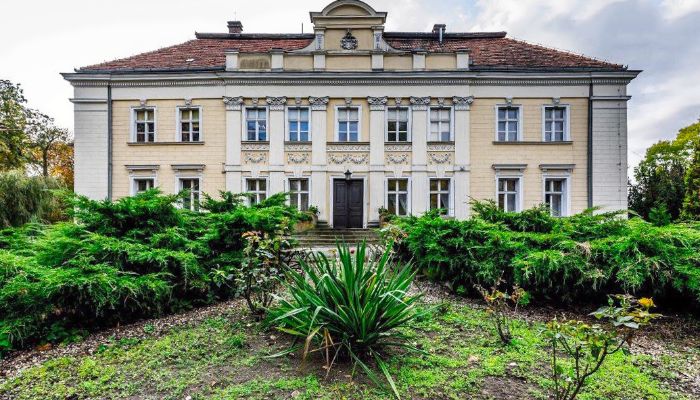 Palacio en venta Gola, województwo wielkopolskie,  Polonia