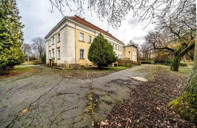 Palacio en venta Gola, województwo wielkopolskie, Imagen 42/46