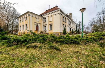 Palacio en venta Gola, województwo wielkopolskie, Imagen 38/46