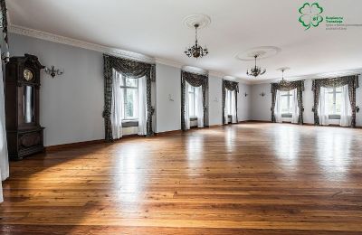 Palacio en venta Gola, województwo wielkopolskie, Sala de baile