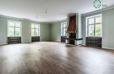 Palacio en venta Gola, województwo wielkopolskie, Imagen 17/27