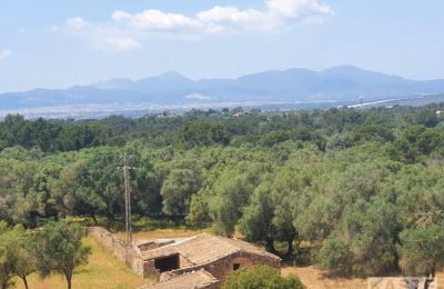 Casa señorial en venta Sineu, Islas Baleares, Vista