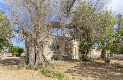 Casa señorial en venta Oria, Apulia, Imagen 27/28