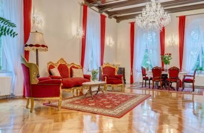 Palacio en venta Boguszów-Gorce, Józefa Poniatowskiego  57C, Voivodato de Baja Silesia, Salón