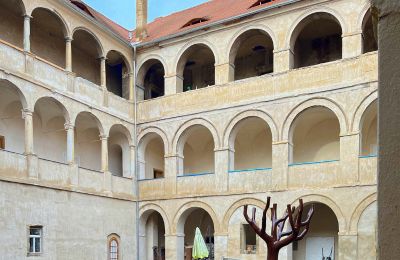 Palacio en venta Štětí, Ústecký kraj, Patio