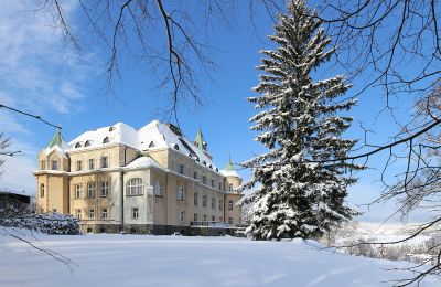 Palacio en venta Liberec, Liberecký kraj, Vista posterior