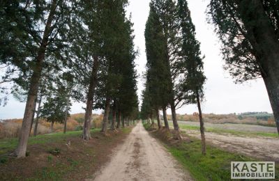 Monasterio en venta Peccioli, Toscana, Imagen 20/28