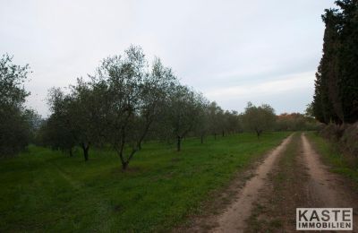 Monasterio en venta Peccioli, Toscana, Imagen 14/28